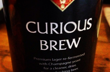 Curious Brew Lager